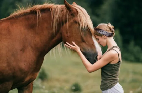 Waarom Je Paard Je Die Plek Niet Laat Aanraken