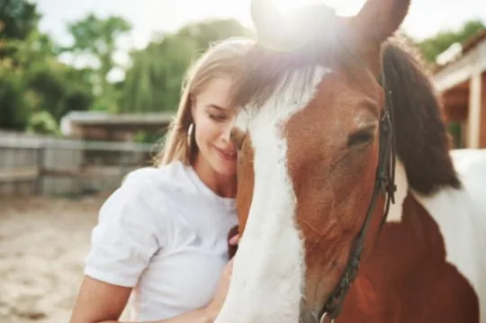 Waarom Je Nerveuze Paard Naar Je Kijkt
