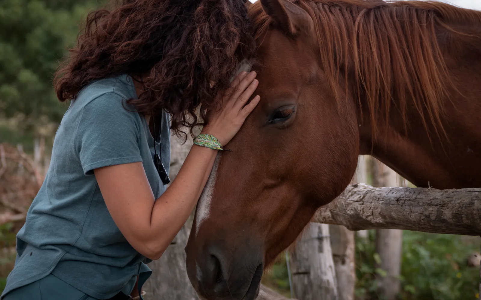 Scheidingsangst bij paarden — waarom je paard in paniek raakt als hij alleen is